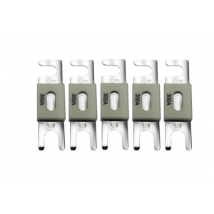 Victron Energy ANL-fuse 300A/80V (5 pc) Предохранитель