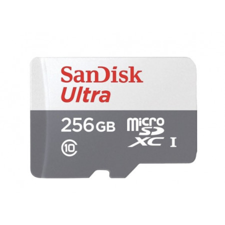 SanDisk Ultra microSDXC 256GB 100MB/s Class 10 UHS-I Модуль флеш-пам'яті