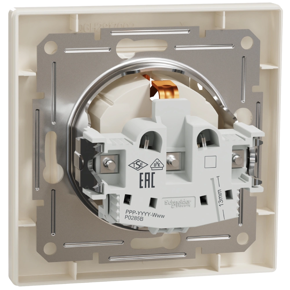 Schneider Electric Asfora EPH3100123 Розетка із кришкою, із заземленням