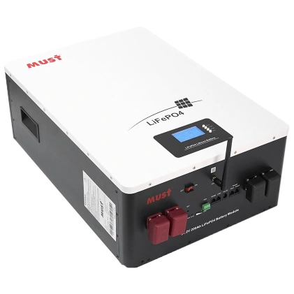 Must LP16-48200 51.2В 200А•г Літієва акумуляторна батарея